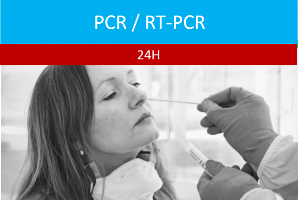 PCR 24H Securimed